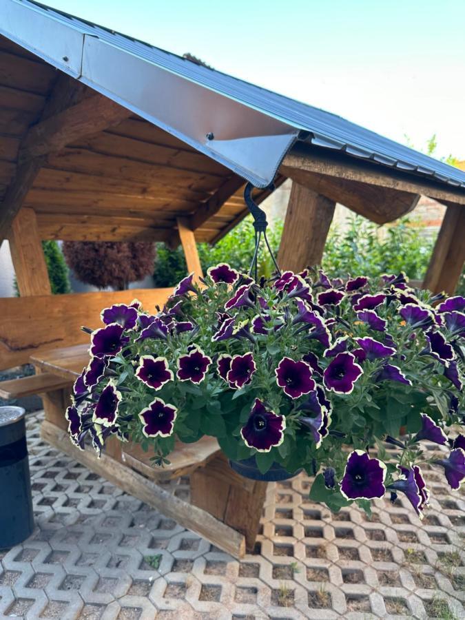 Ferienwohnungen In Érfurt Exterior foto